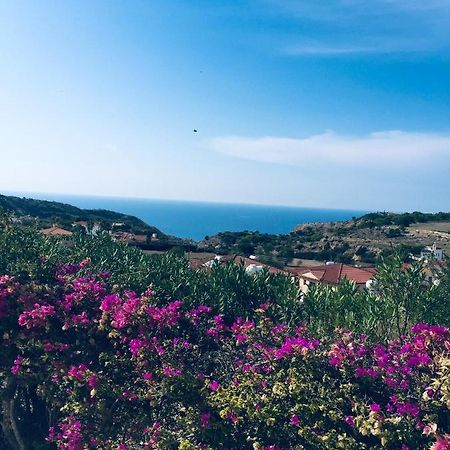 Pissouri Villa Miramar المظهر الخارجي الصورة