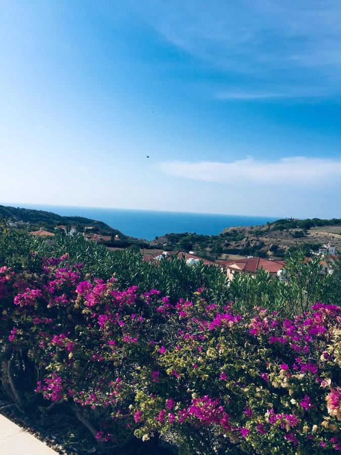 Pissouri Villa Miramar المظهر الخارجي الصورة